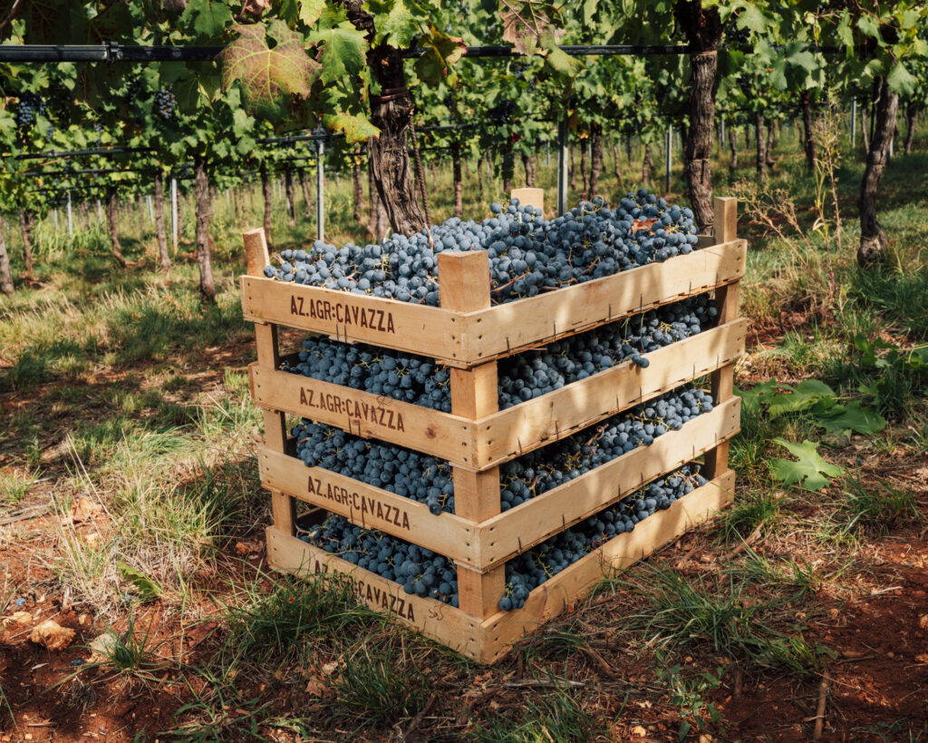 Unsere Sicht auf die Ernte 2022