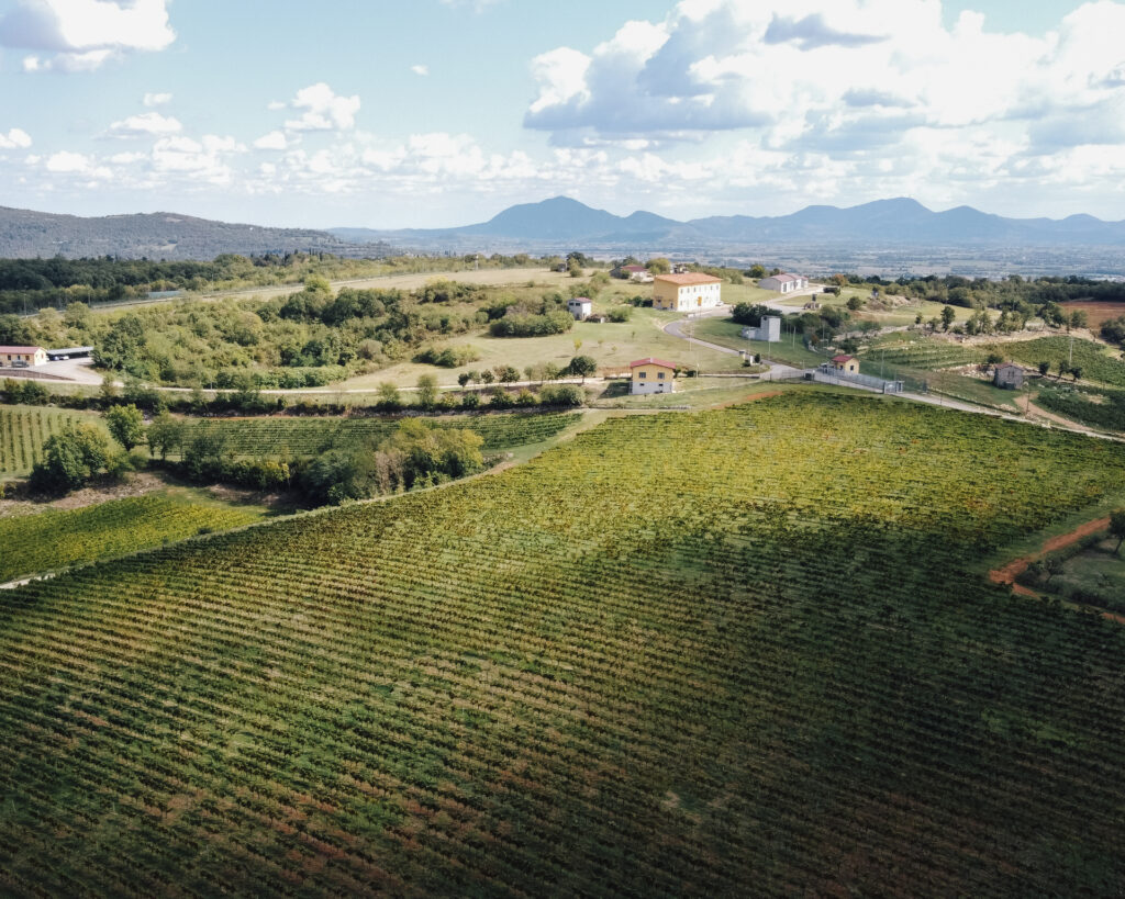 Der Jahrgang 2023 bis heute